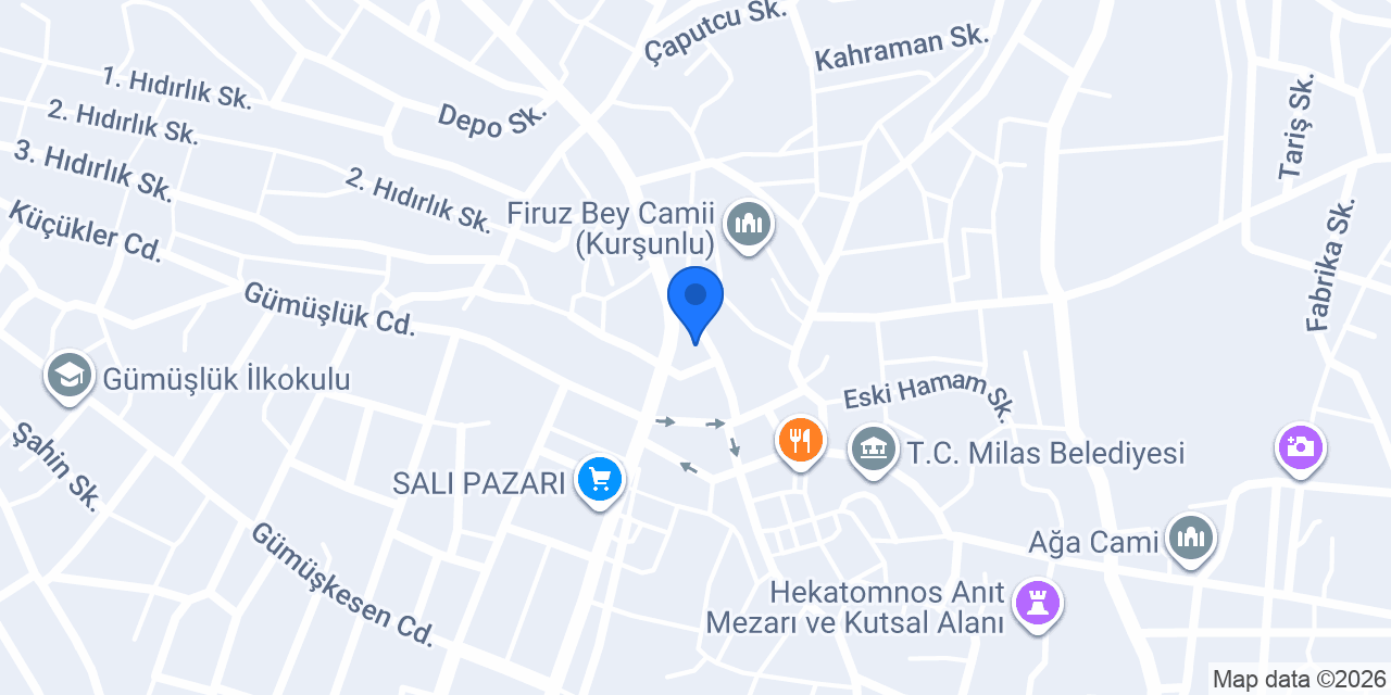 Atatürk İlköğretim Okulu konumu