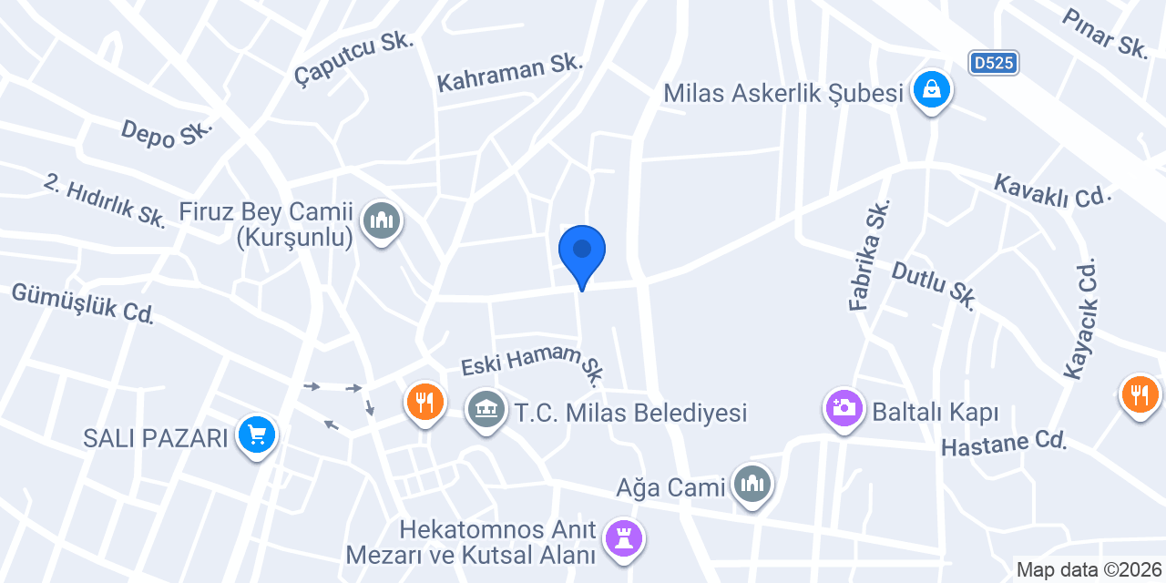 Bizim Fatoş Ev Börekleri konumu