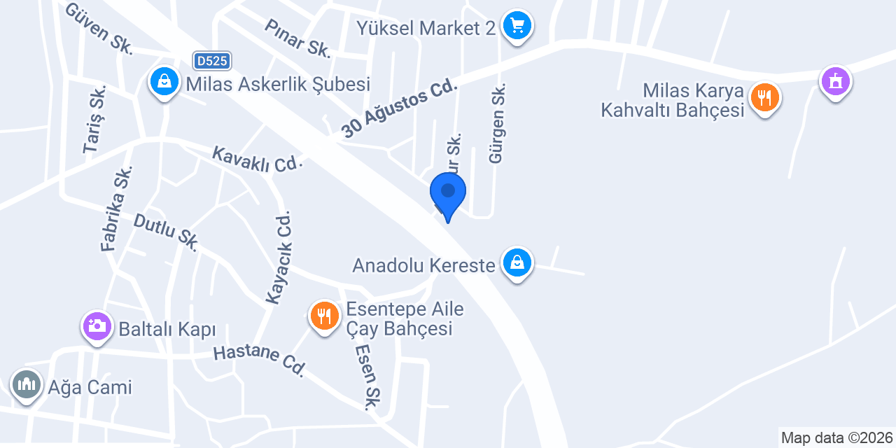 Demirbaş otomasyon konumu