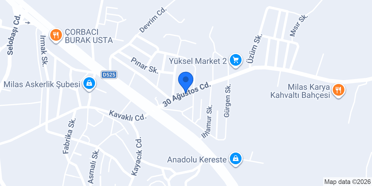 Ompo Pompa Ve Hidrofor Marketi konumu