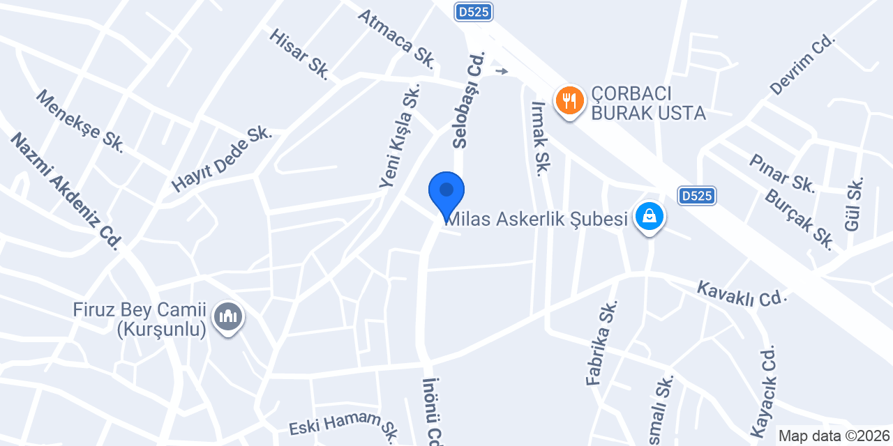 Ay Tarım Tuz Milas konumu