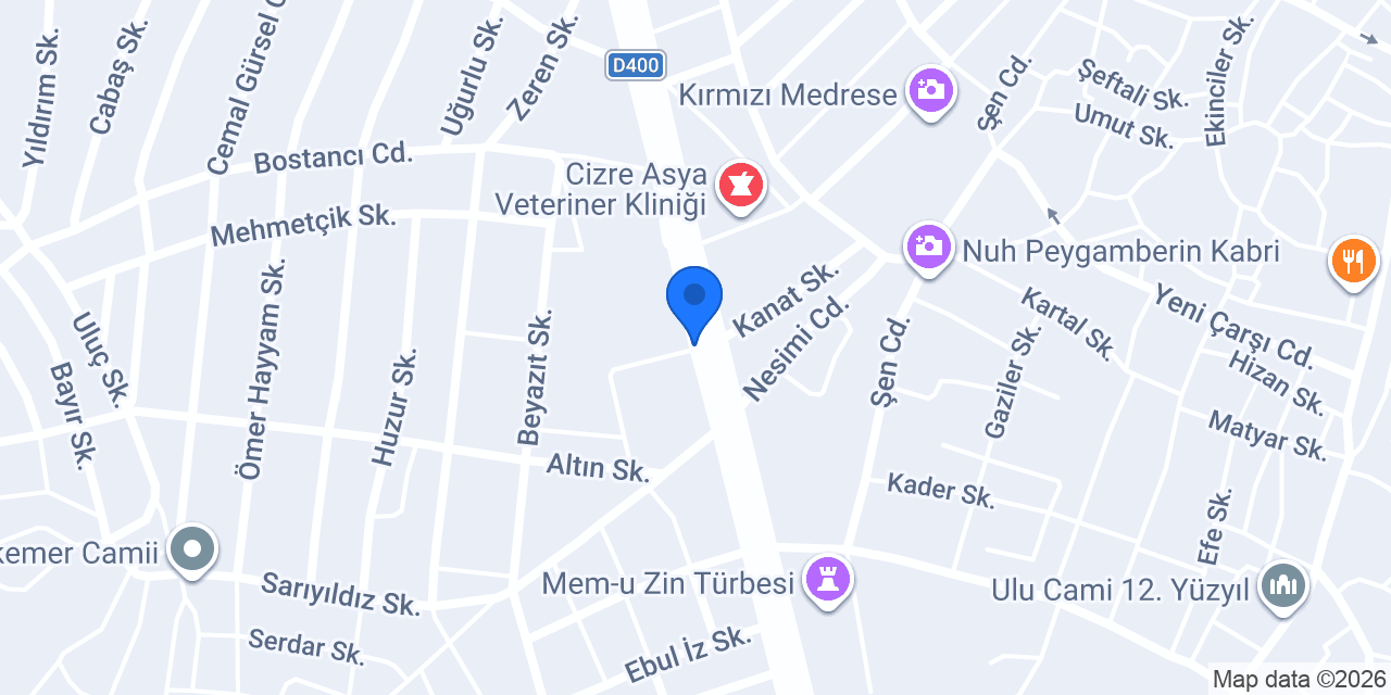Western Union konumu