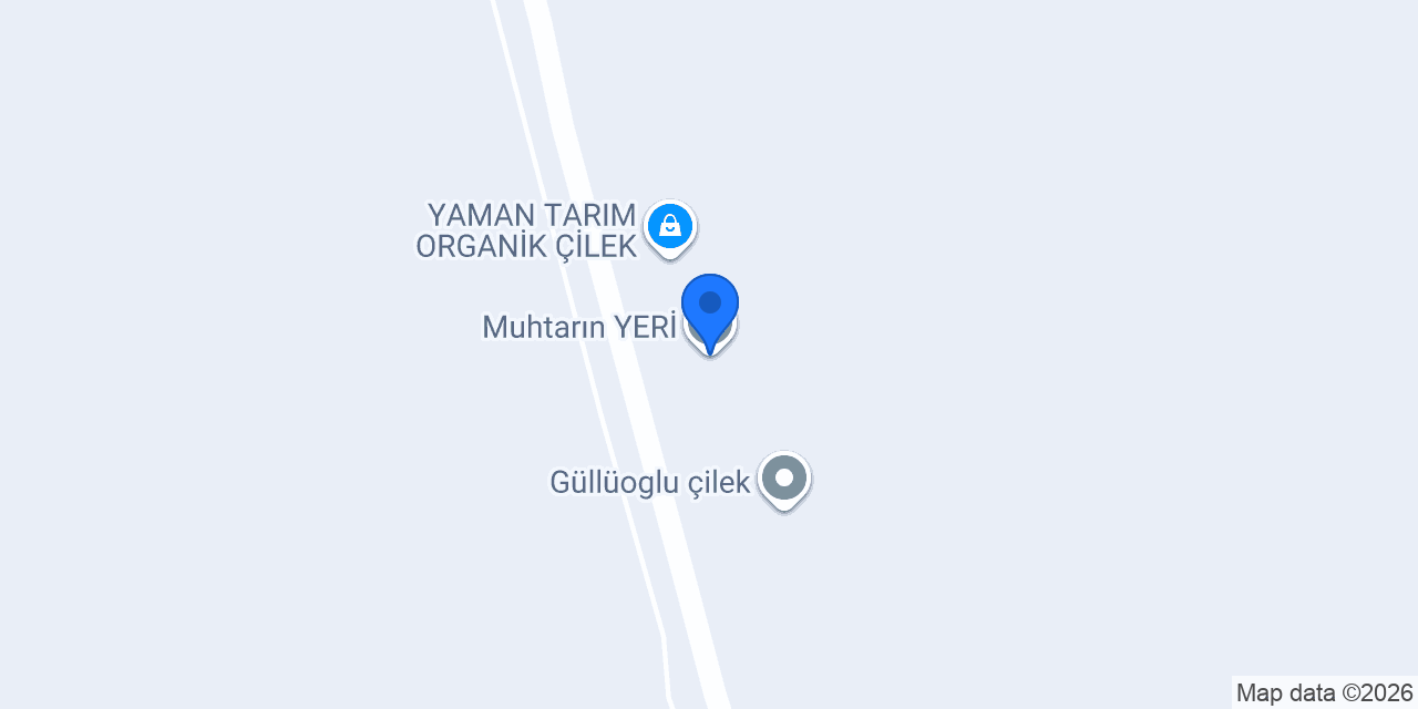 Muhtarın YERİ konumu