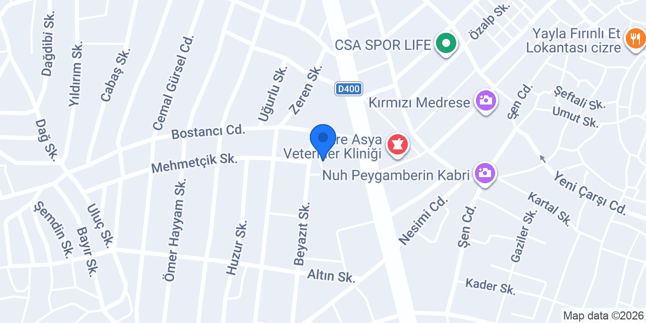 LEONA SİGORTA konumu