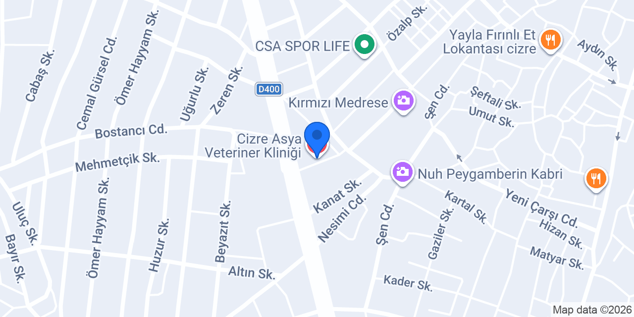 Cizre Asya Veteriner Kliniği konumu