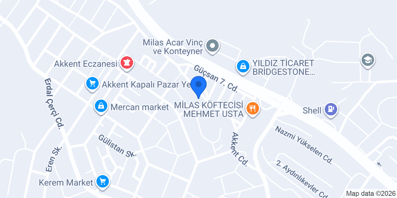 Vizyon Elektrik konumu