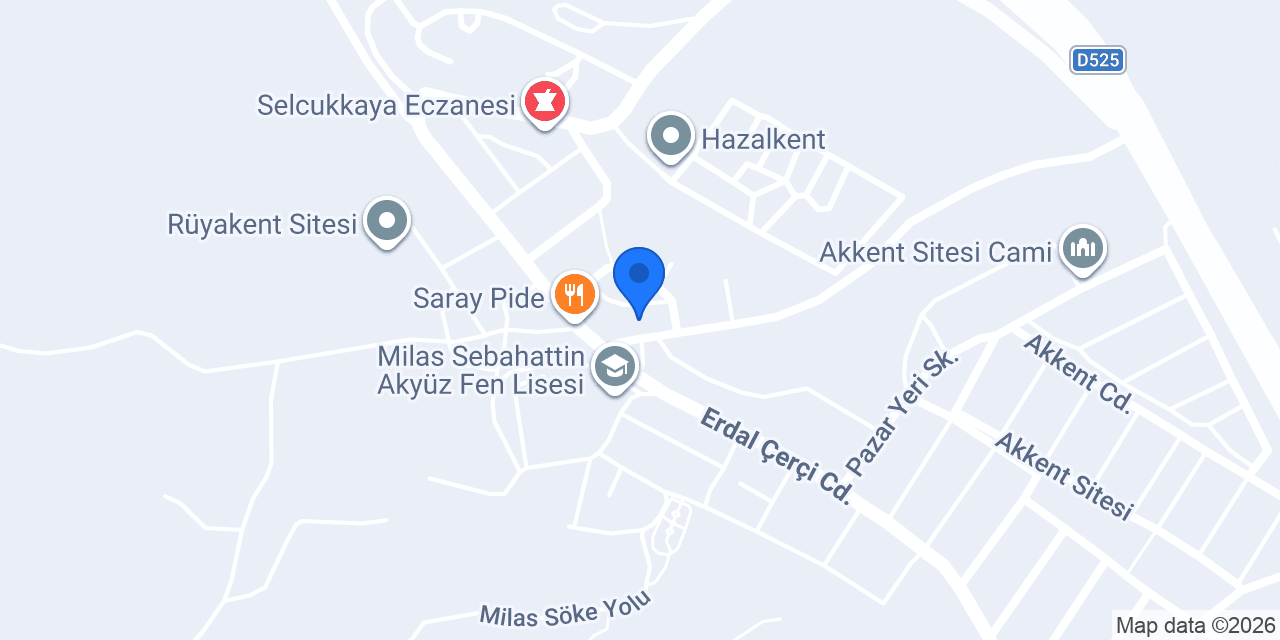 Mir-es milas boyacı konumu