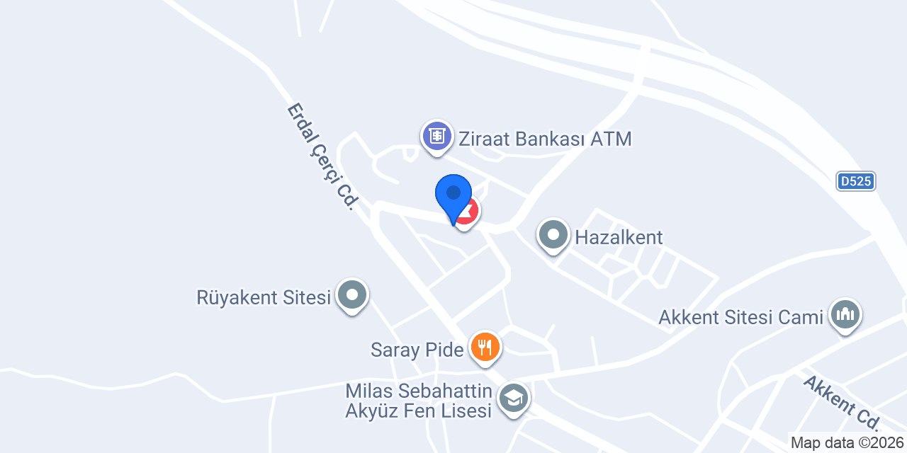 DAĞ TEMİZLİK ve EMLAK MİLAS konumu