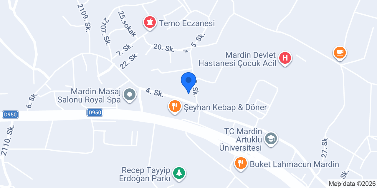 Dahi Akademi - Matematik - İlkokula Destek konumu