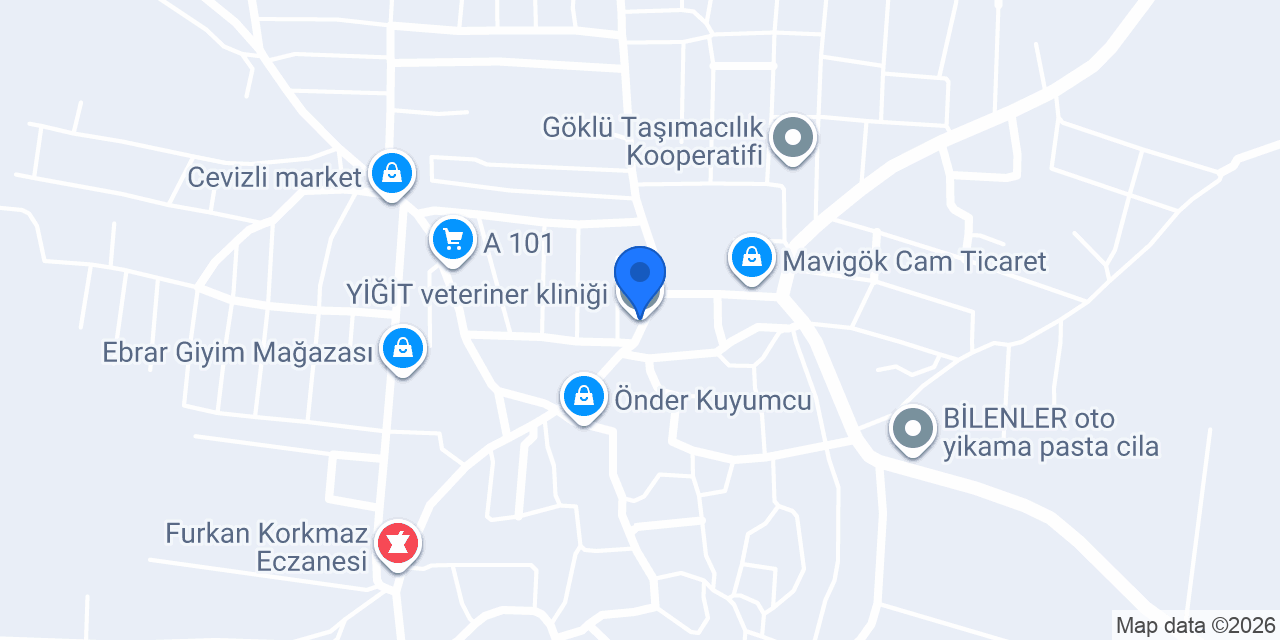 YİĞİT veteriner kliniği konumu