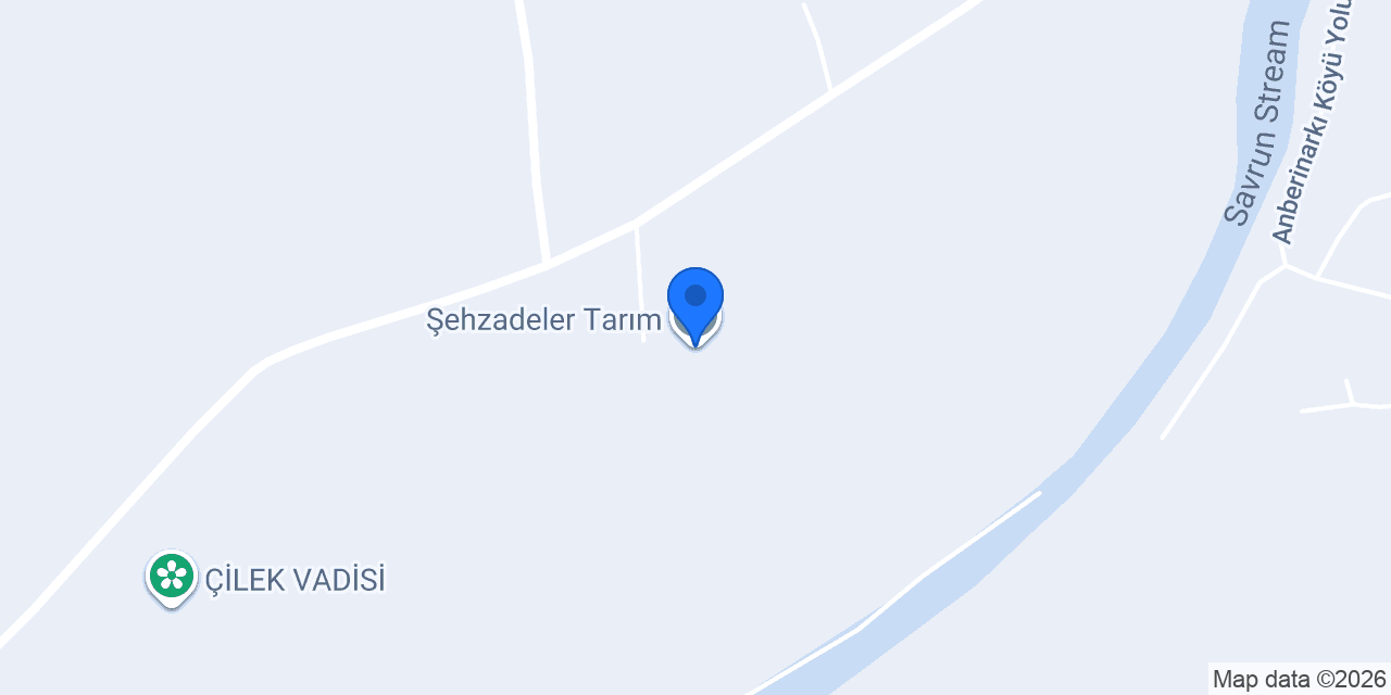 Şehzadeler Tarım konumu