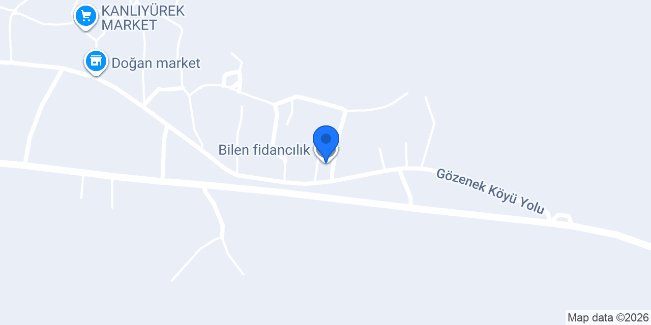 Bilen fidancılık konumu