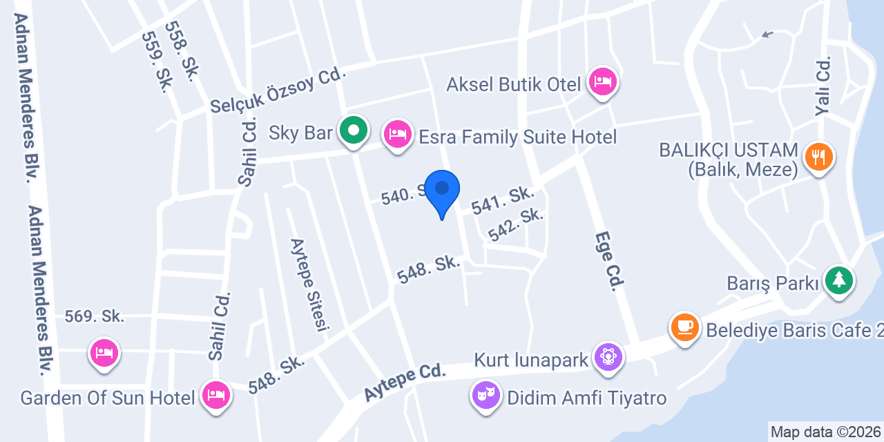İrfanAydınBoxingStudio konumu