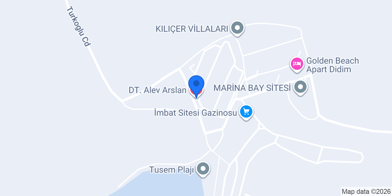 DT. Alev Arslan konumu