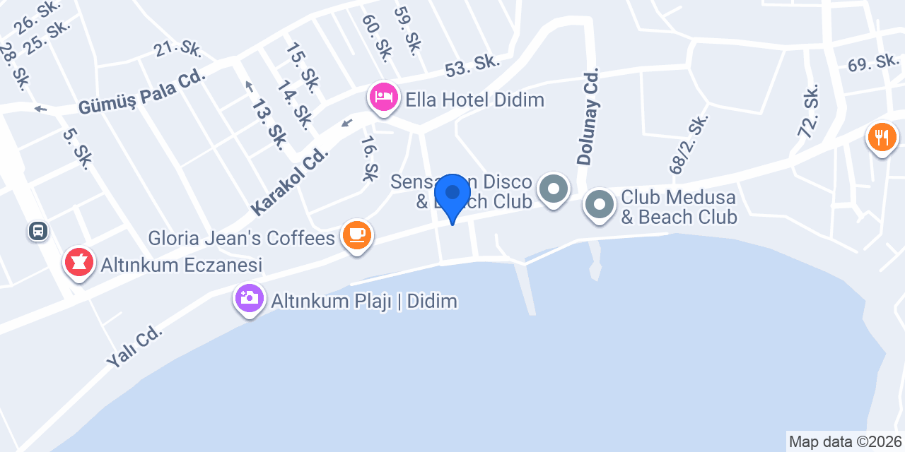 DİDİM ALTAN RENT A CAR konumu