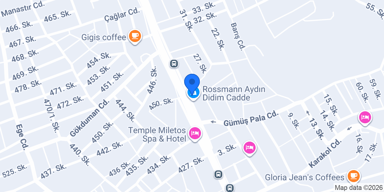 didim altin ev yapi konumu