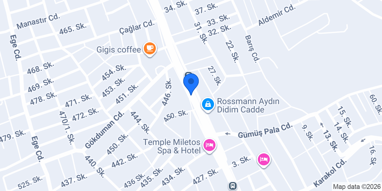 Pasaport Pizza Didim konumu