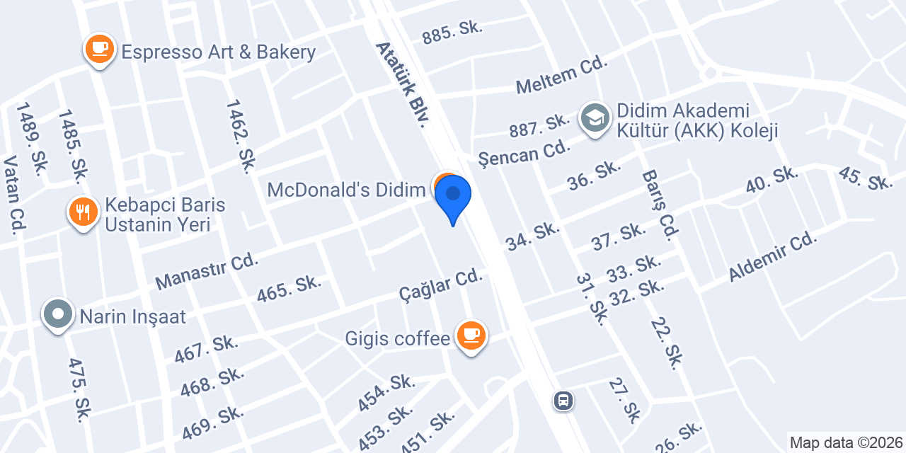 Özlem TAN- S REALTY Zeytin konumu