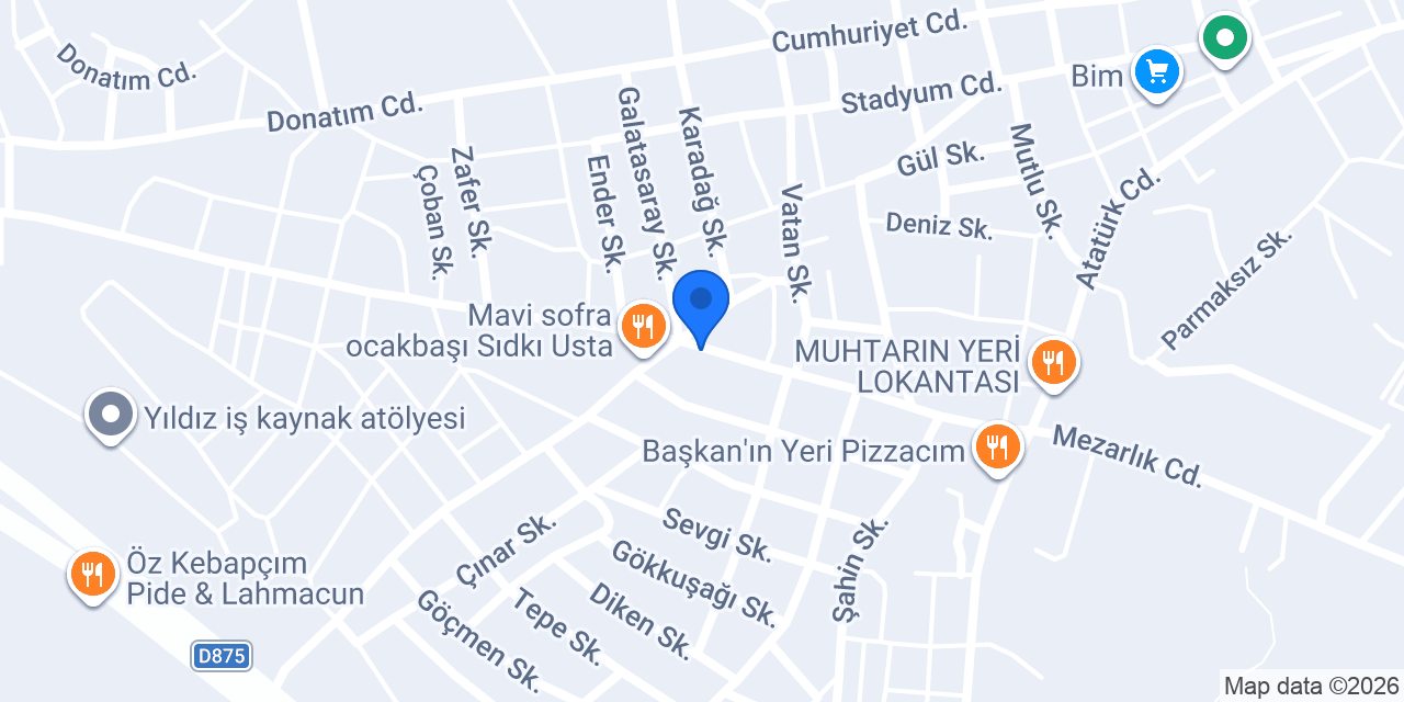 Arslan motor konumu