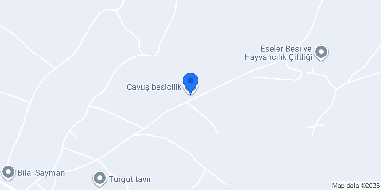 Cavuş besicilik konumu