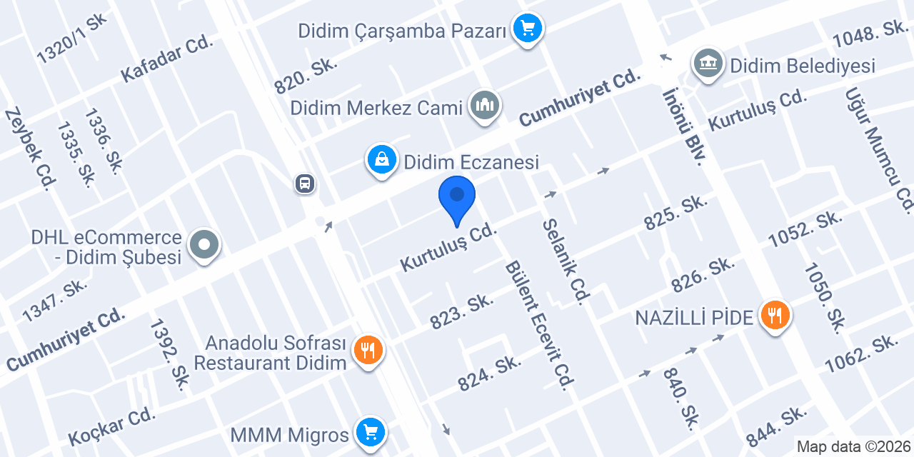 Han Organizasyon konumu