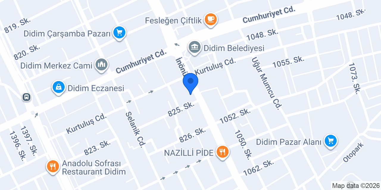 Erzincanlı Ege et konumu
