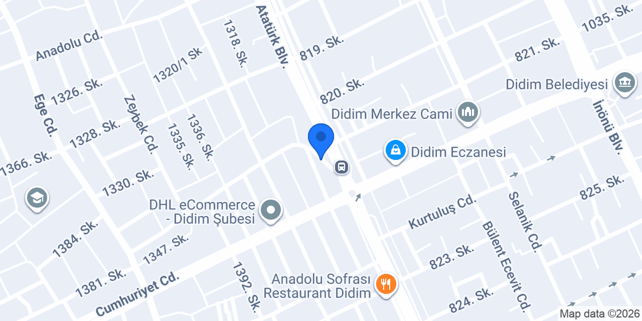 ELAYZ ELEKTRONİK konumu