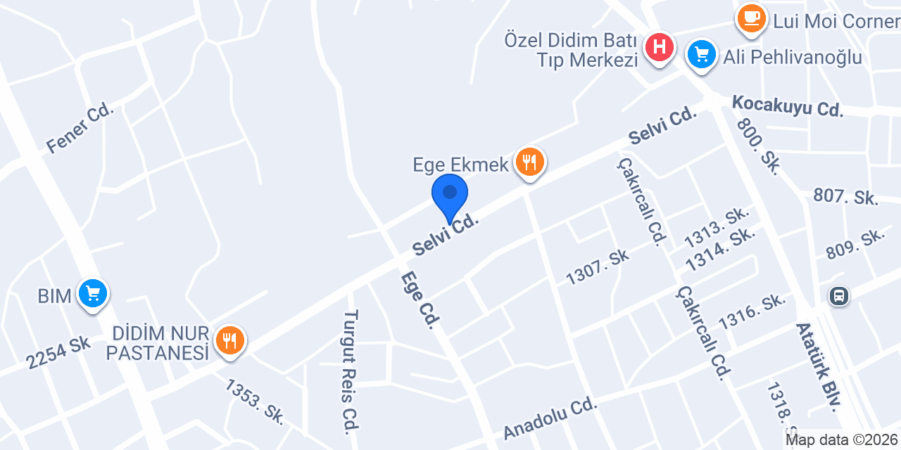 Didim Demir Sıhhi Tesisat konumu