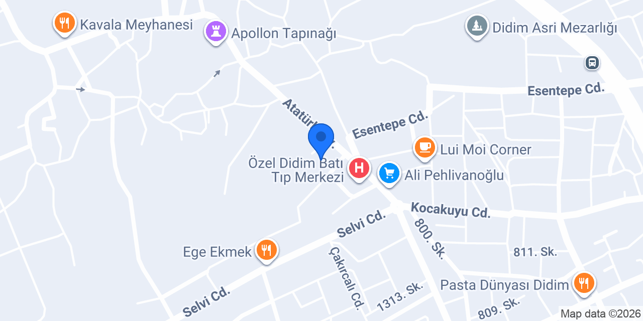 Ebru Fulya Çiçekçilik Peyzaş konumu