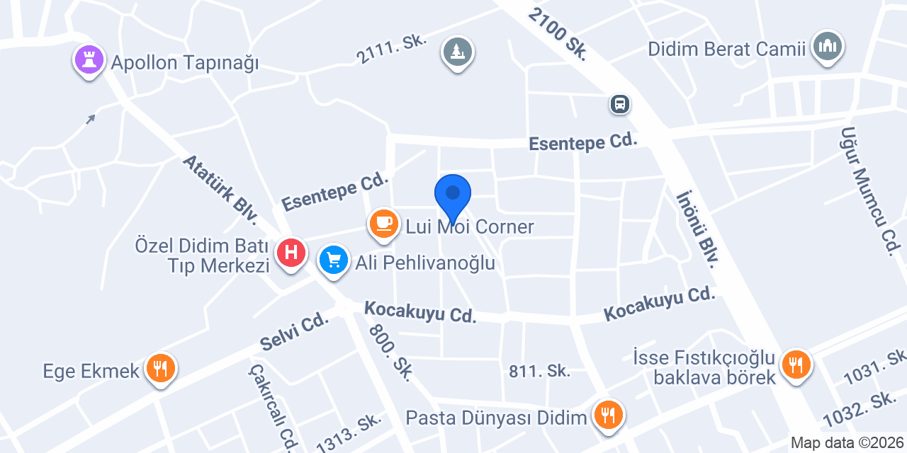 welnessdidyma konumu
