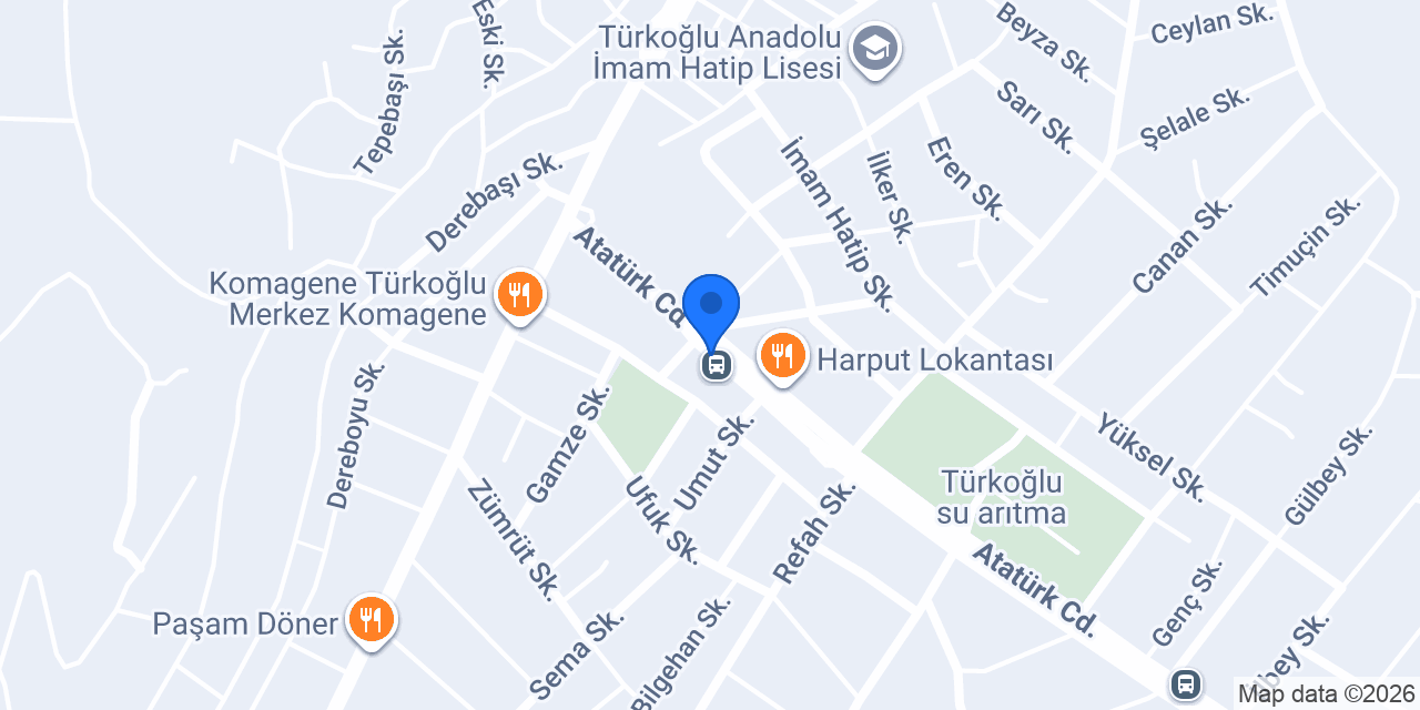 VİZYON SÜRÜCÜ KURSU konumu