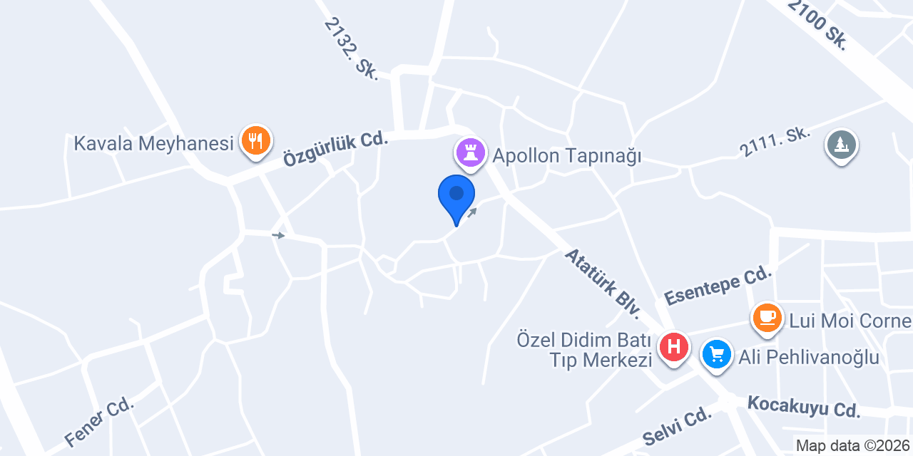 Oracle Cafe Pansiyon konumu