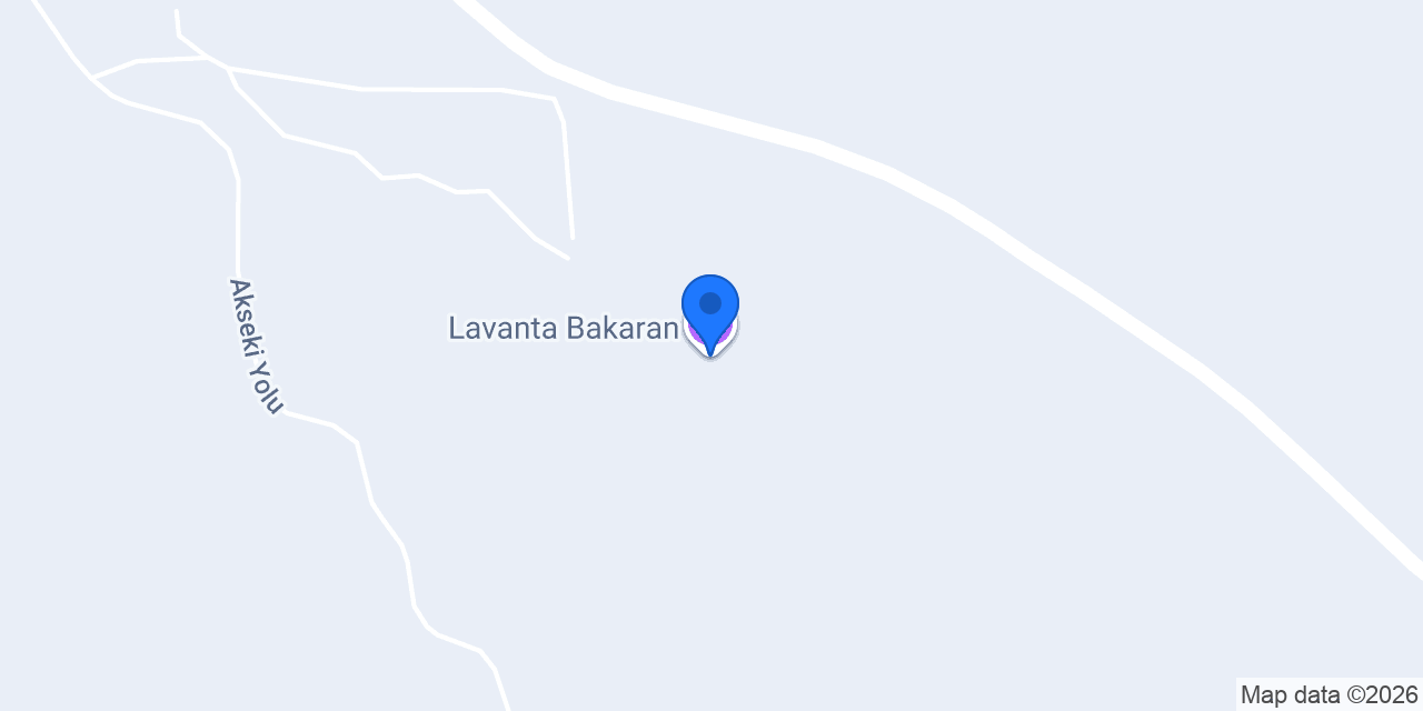 Lavanta Bakaran konumu