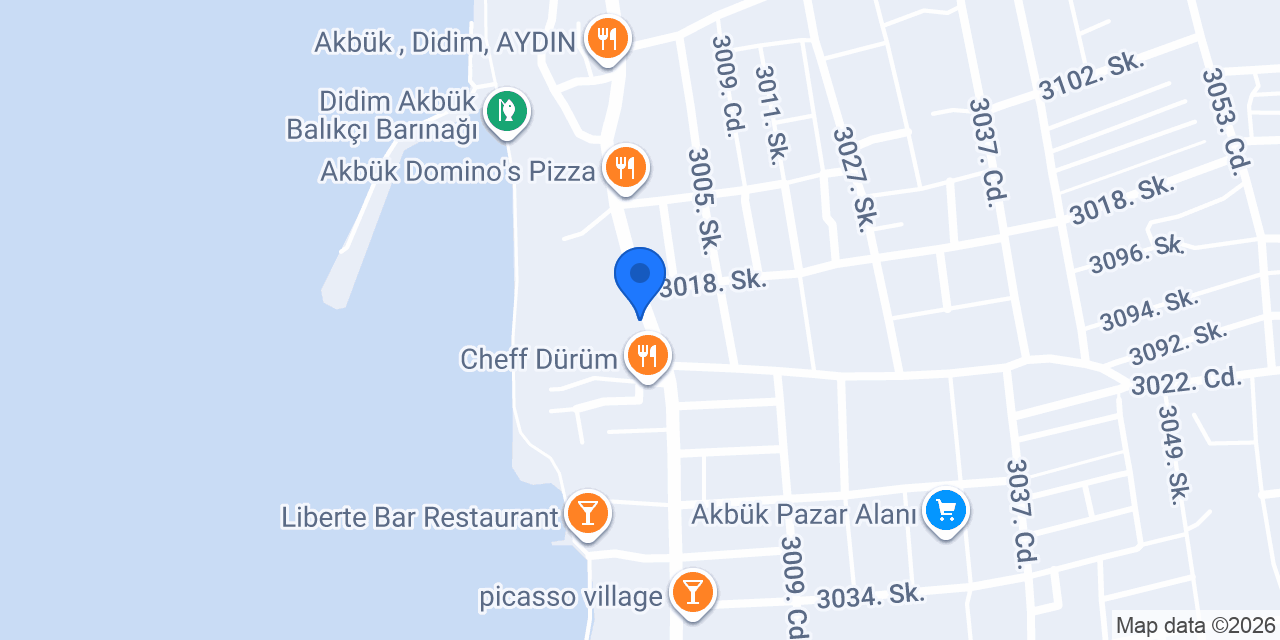 Tekin Usta Keçi Sütü Dondurma Akbük/DİDİM konumu