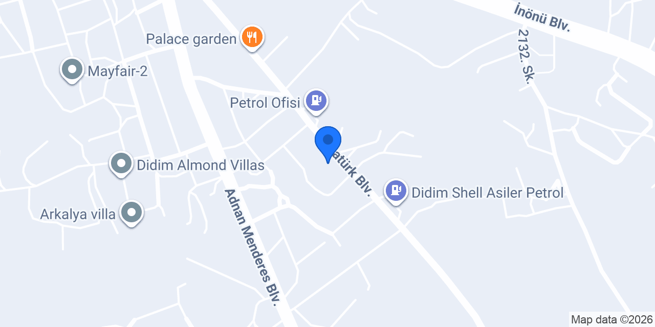 Aras otomotiv konumu
