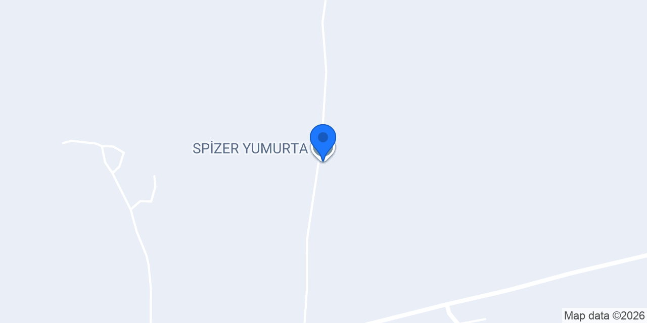 SPİZER YUMURTA konumu
