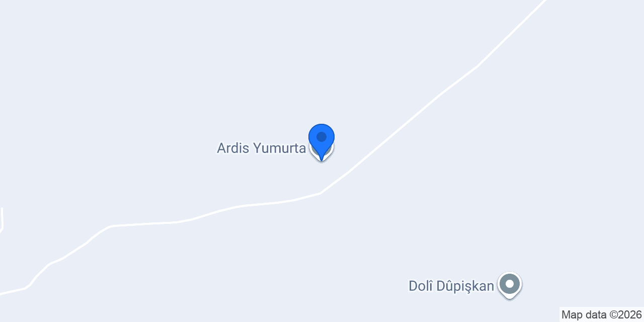 Ardis Yumurta konumu