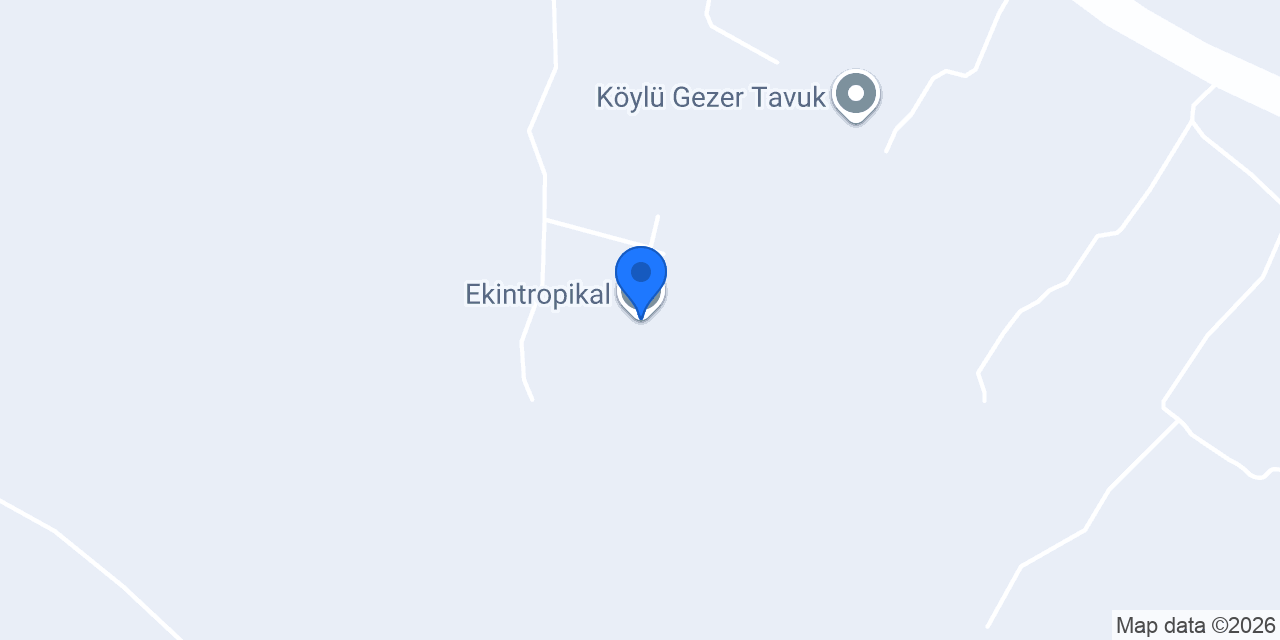 Ekintropikal konumu