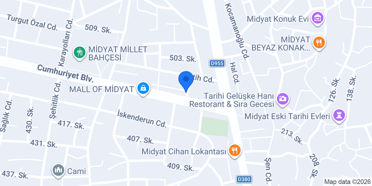uzman elektronik anahtar konumu