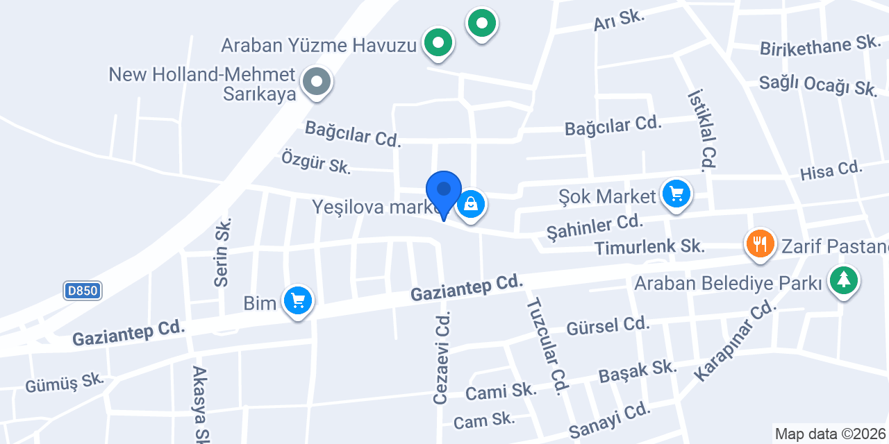 Arslan Organizasyon konumu