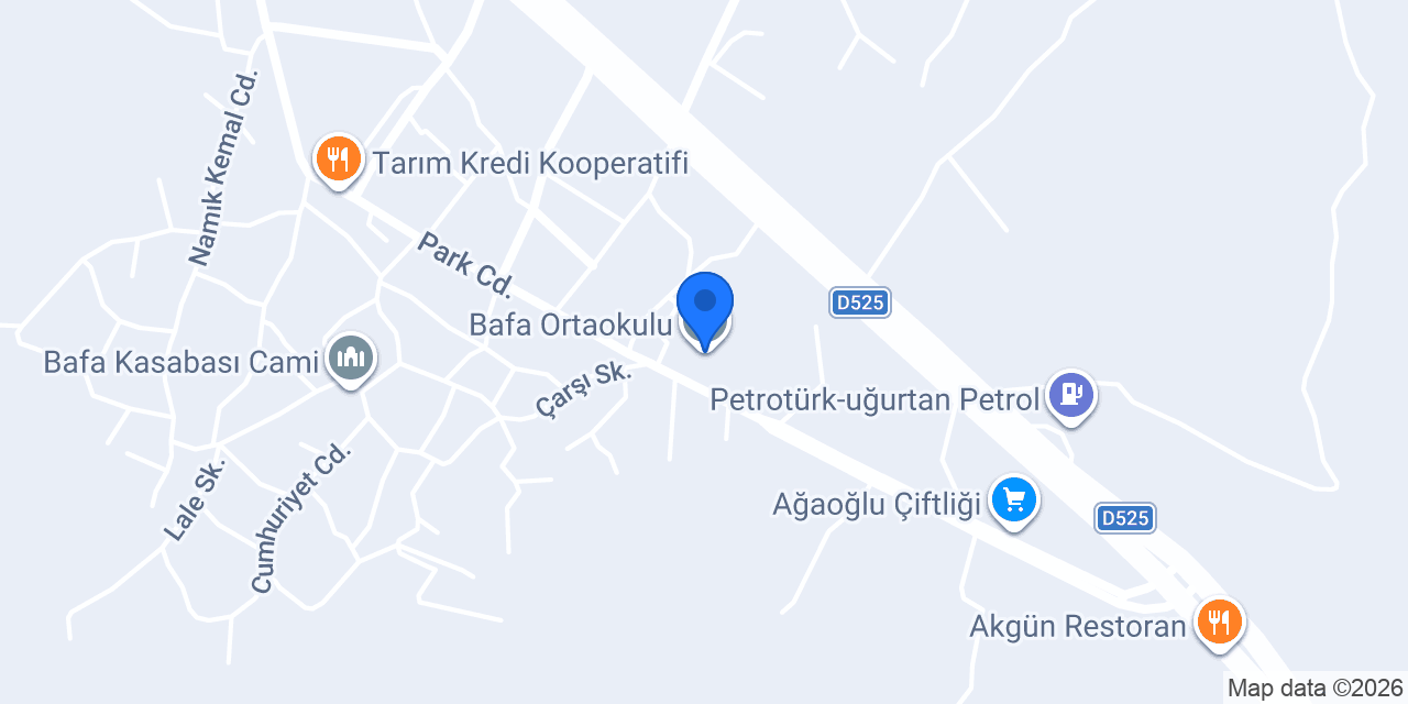 Bafa Ortaokulu konumu