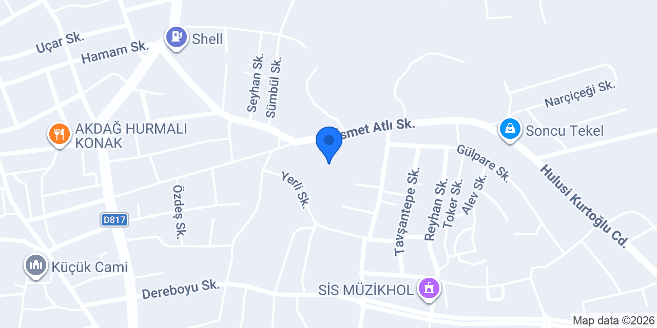 ÖZDEN KURUYEMİŞ konumu