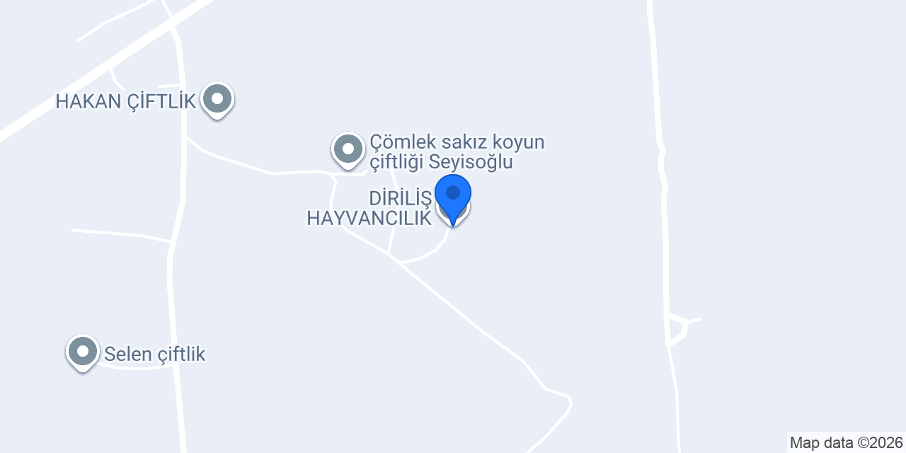 DİRİLİŞ HAYVANCILIK konumu