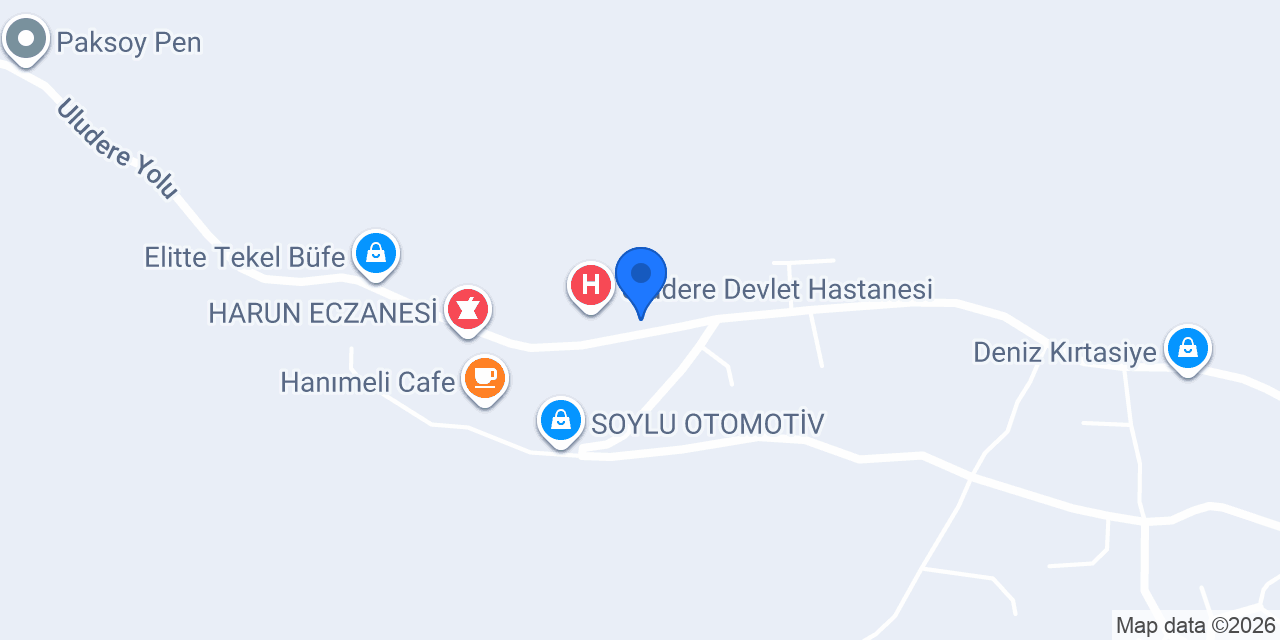 ŞIRNAK ULUDERE ÖZEL ASEL SÜRÜCÜ KURSU konumu