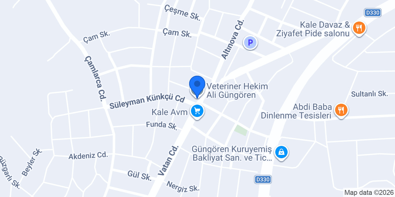 Veteriner Hekim Ali Güngören konumu