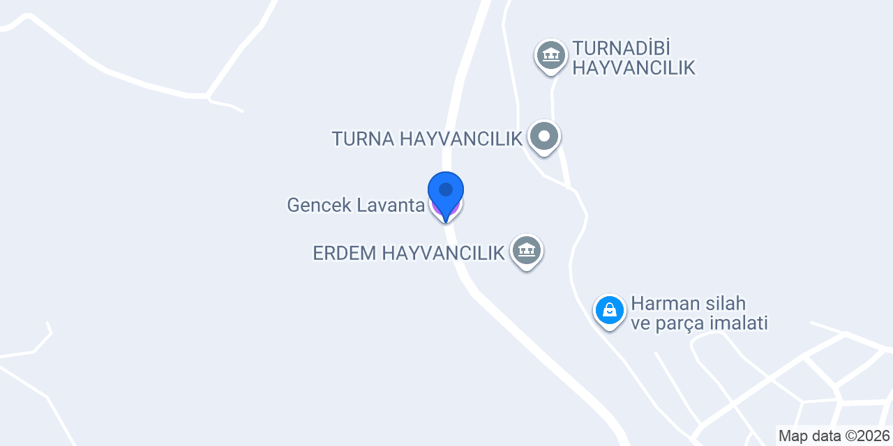 Gencek Lavanta konumu