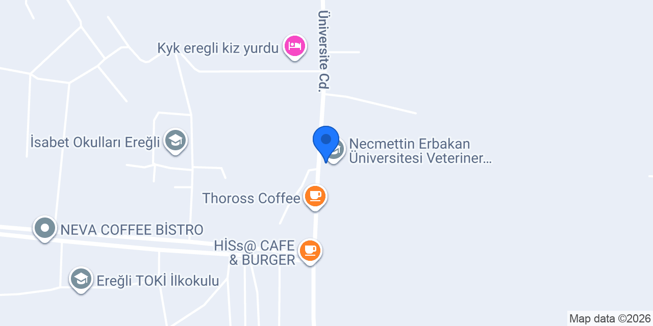 CAFEBURGEROYUN konumu