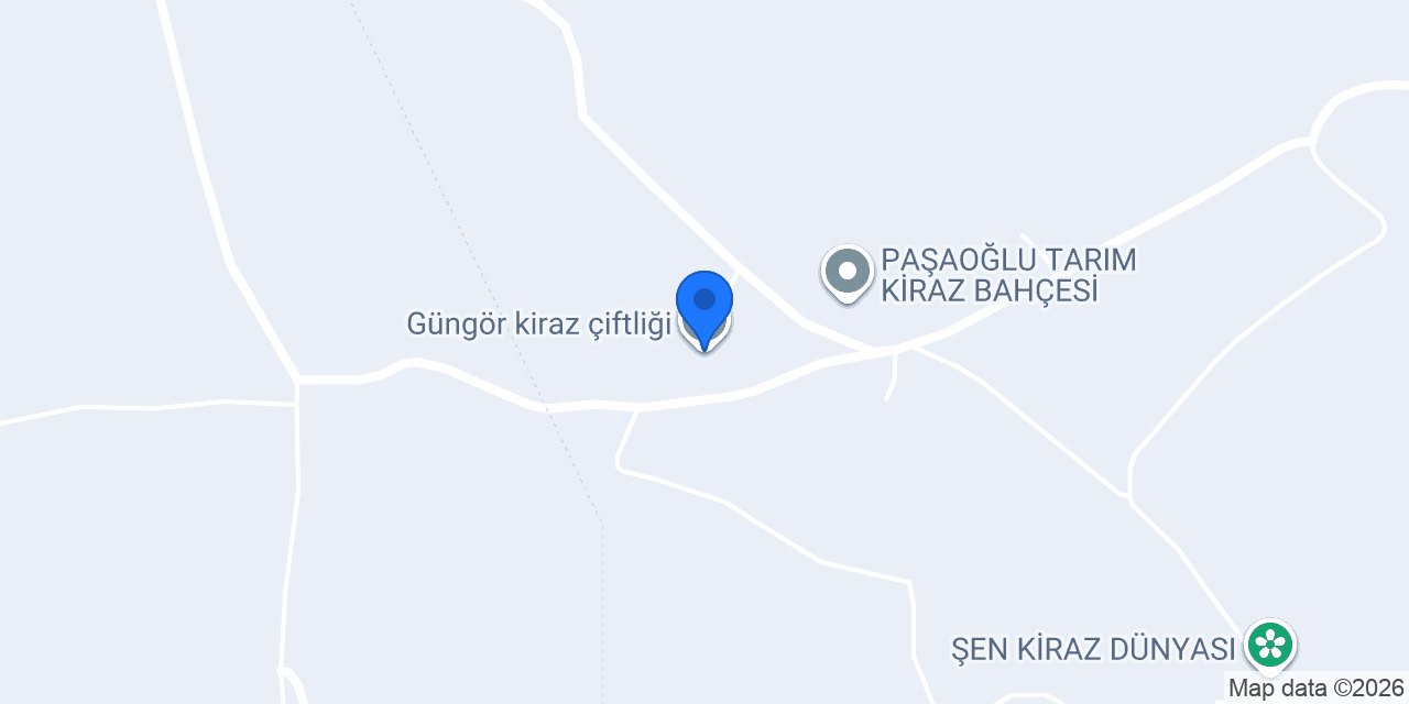 Güngör kiraz çiftliği konumu