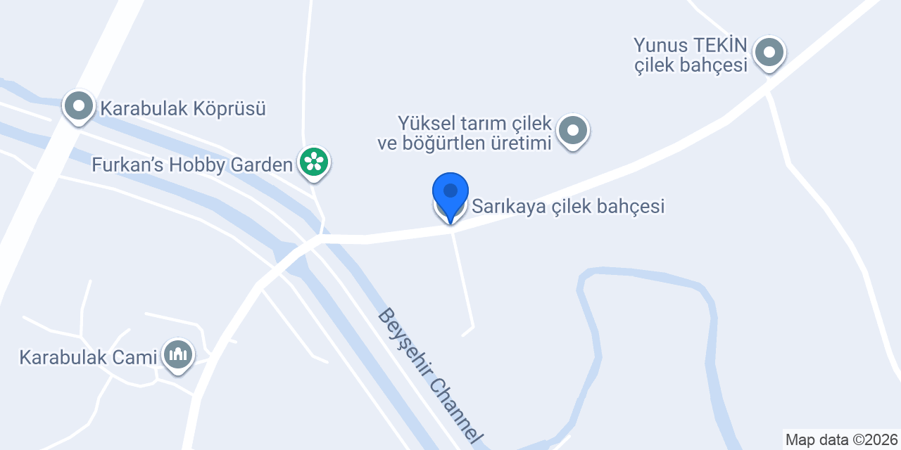 Sarıkaya çilek bahçesi konumu
