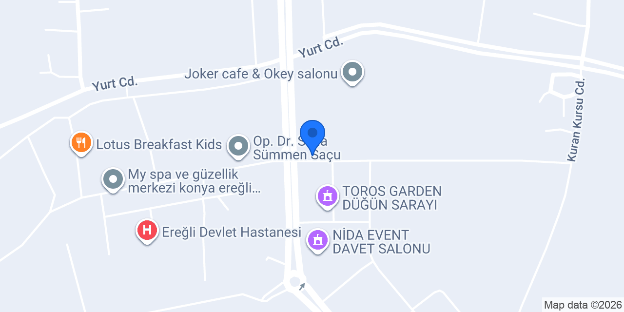 Biyer Ev Yemekleri konumu